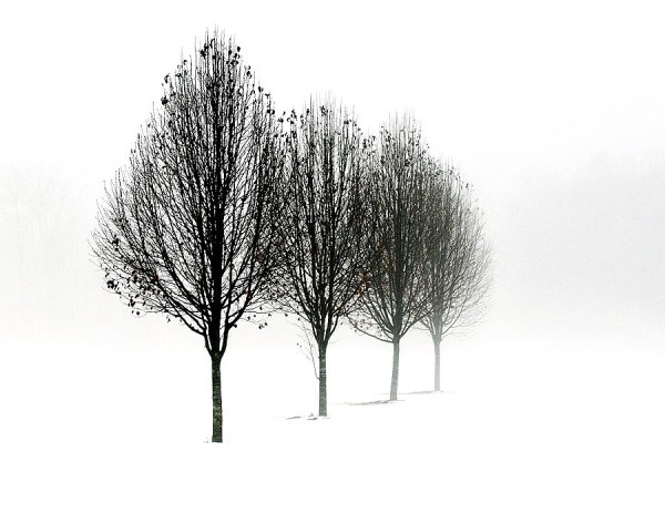 9ccce2ce-7d51-4a72-9db3-dcbf127e595d