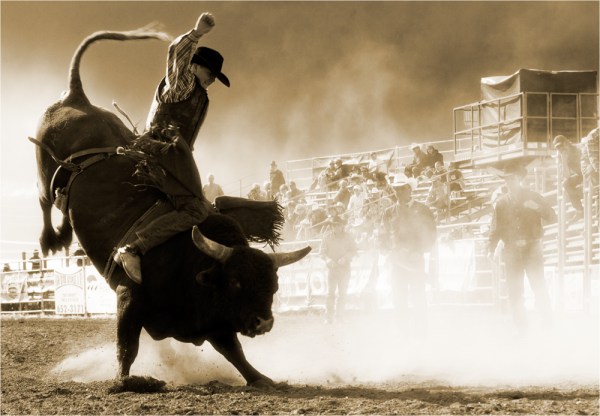 ae174b0e-988a-429e-b642-d461fa4000db