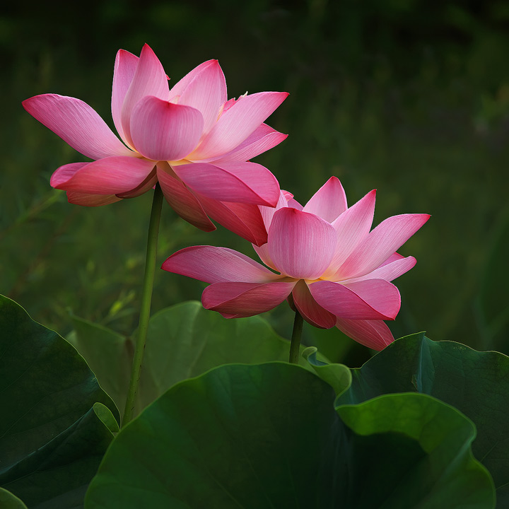 bd4575ac-a7b6-4f95-a0bd-7812d2c101a5