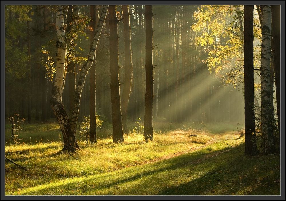 s55f71058-084b-4577-bc00-59328148f3e6